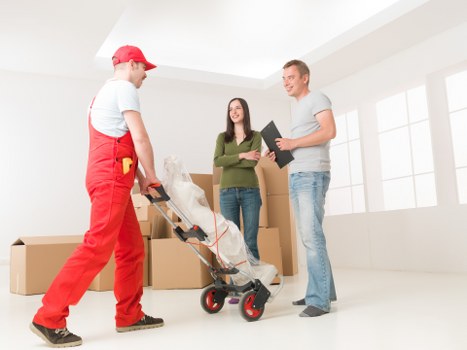 Eco-friendly packing materials used by removalists